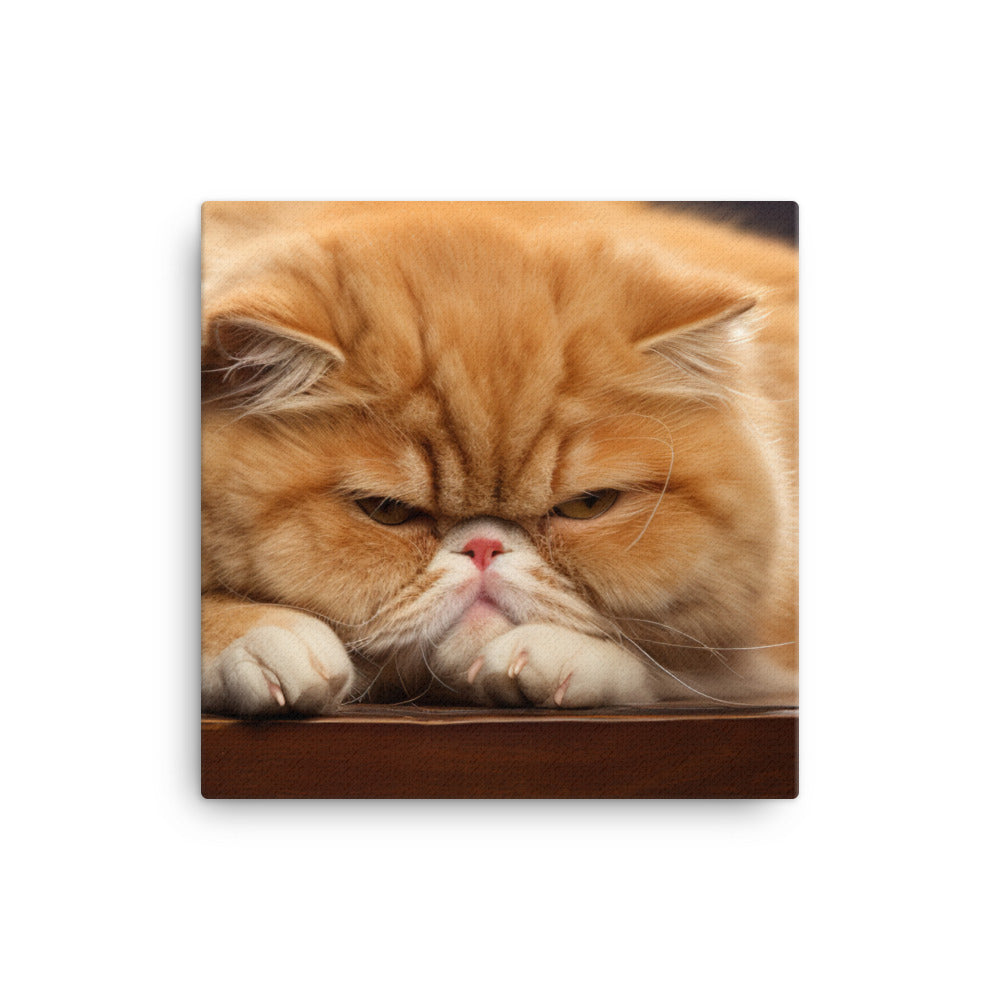 Exotic Shorthair Canvas - PosterfyAI.com