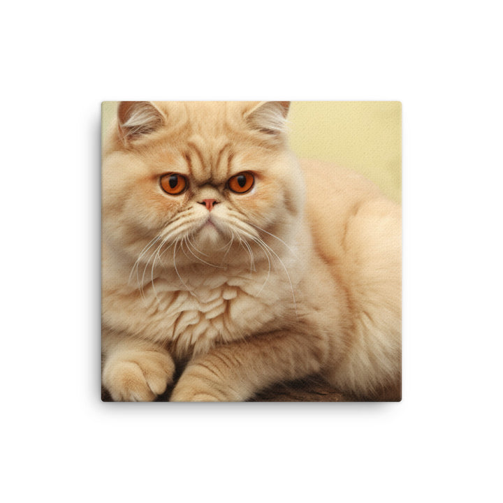 Exotic Shorthair Canvas - PosterfyAI.com