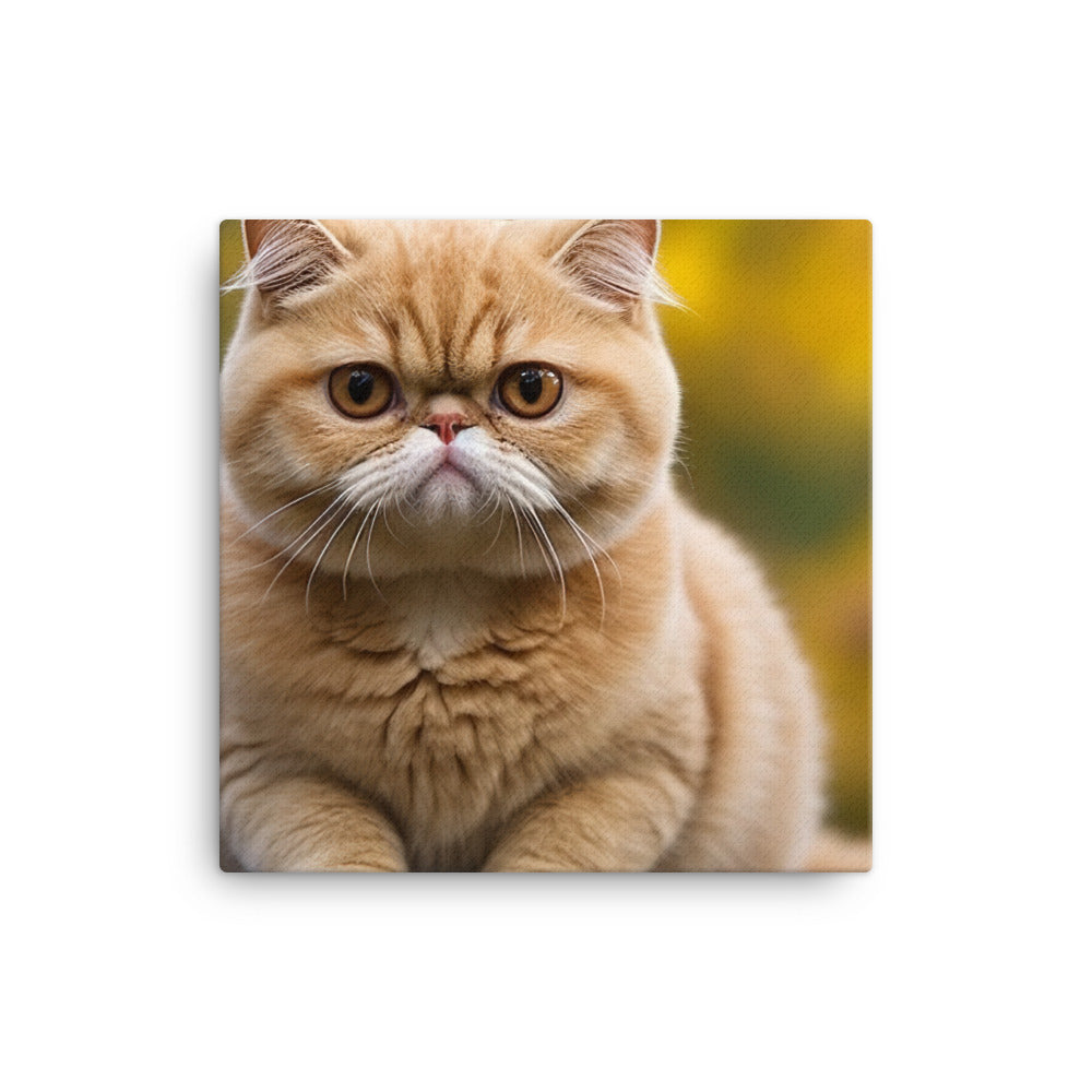 Exotic Shorthair Canvas - PosterfyAI.com