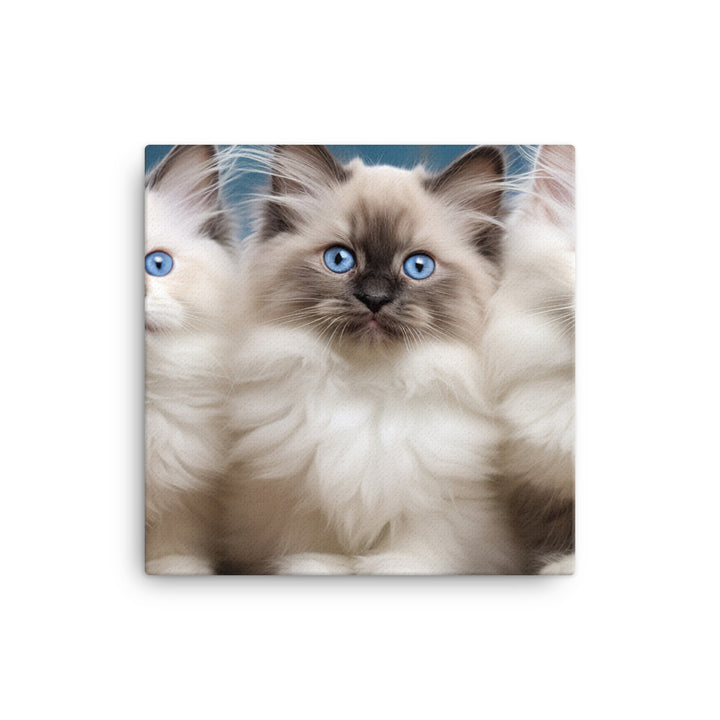 Ragdoll Canvas - PosterfyAI.com