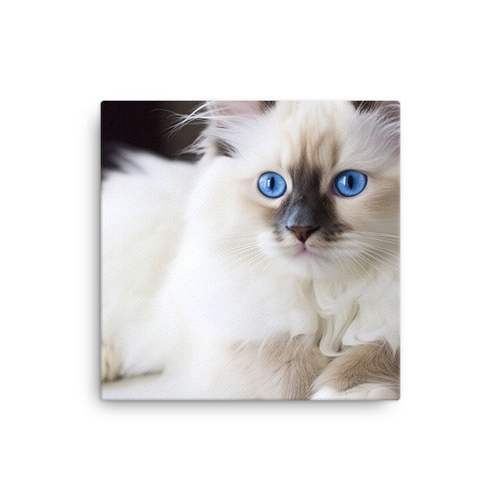 Ragdoll Canvas - PosterfyAI.com