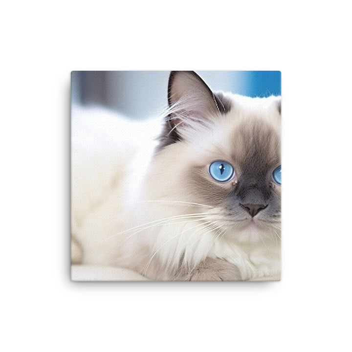 Ragdoll Canvas - PosterfyAI.com