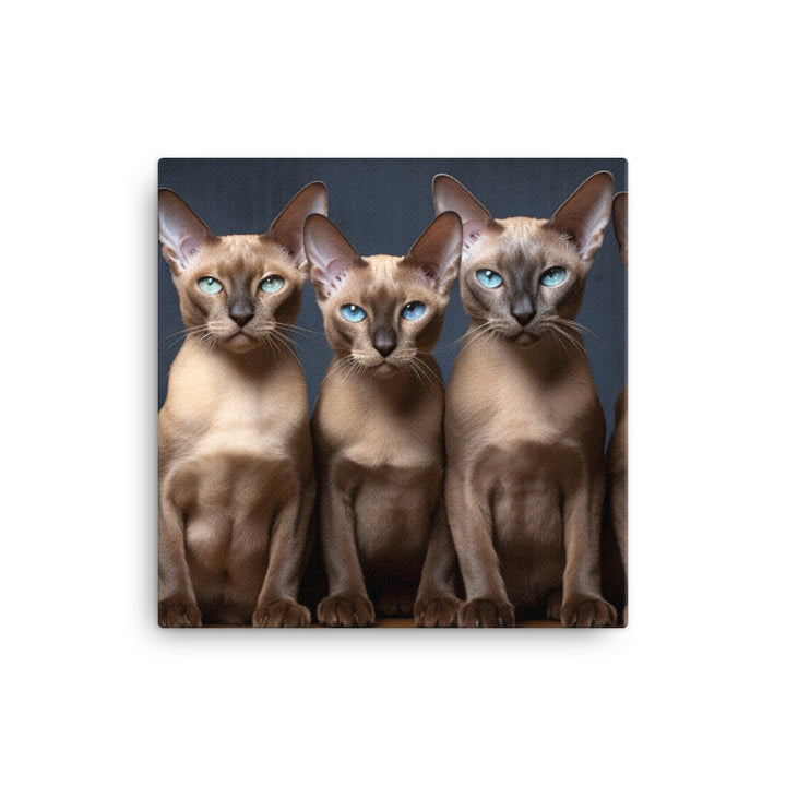 Tonkinese Canvas - PosterfyAI.com