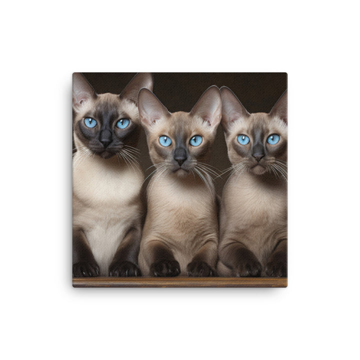 Tonkinese Canvas - PosterfyAI.com