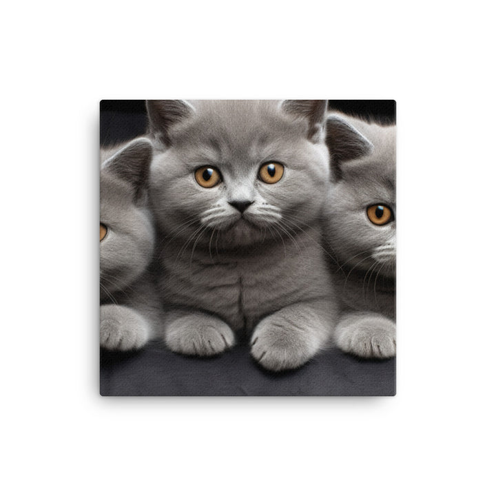 British Shorthair Canvas - PosterfyAI.com