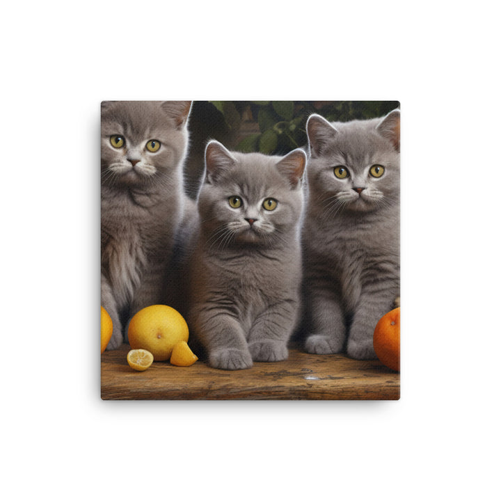 British Shorthair Canvas - PosterfyAI.com