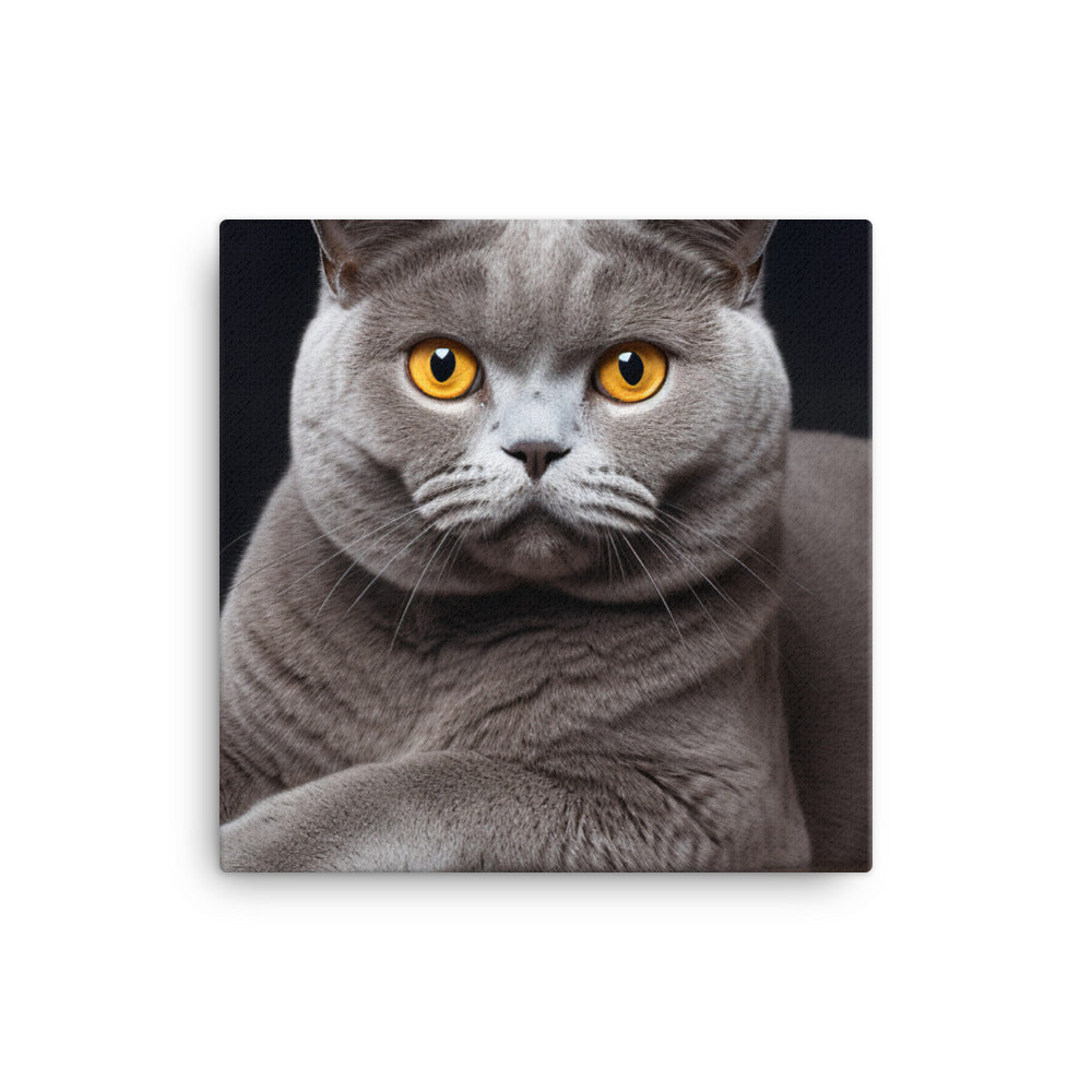 British Shorthair Canvas - PosterfyAI.com