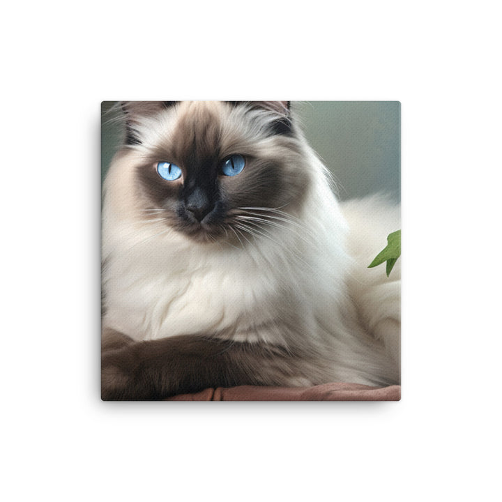 Birman Canvas - PosterfyAI.com