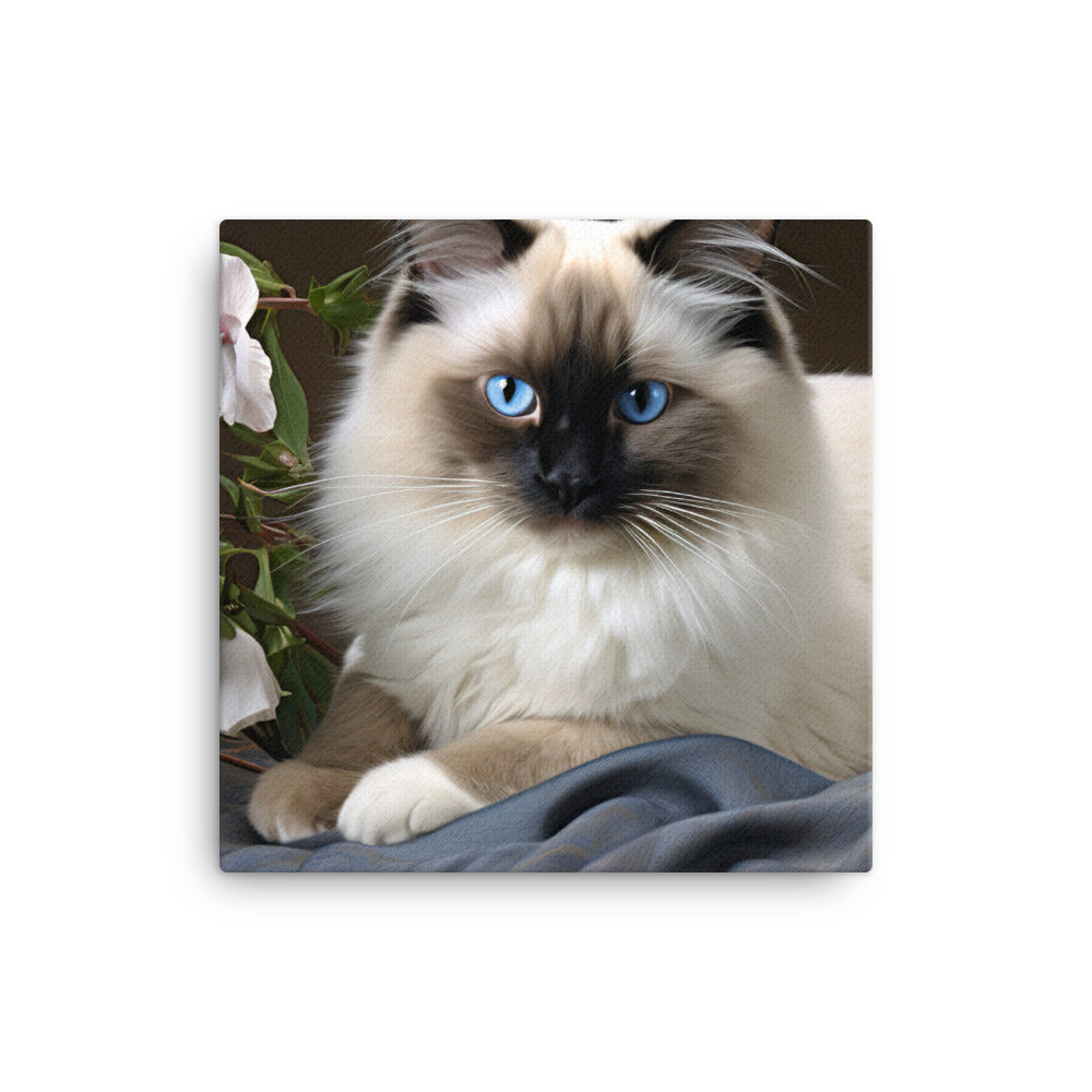 Birman Canvas - PosterfyAI.com