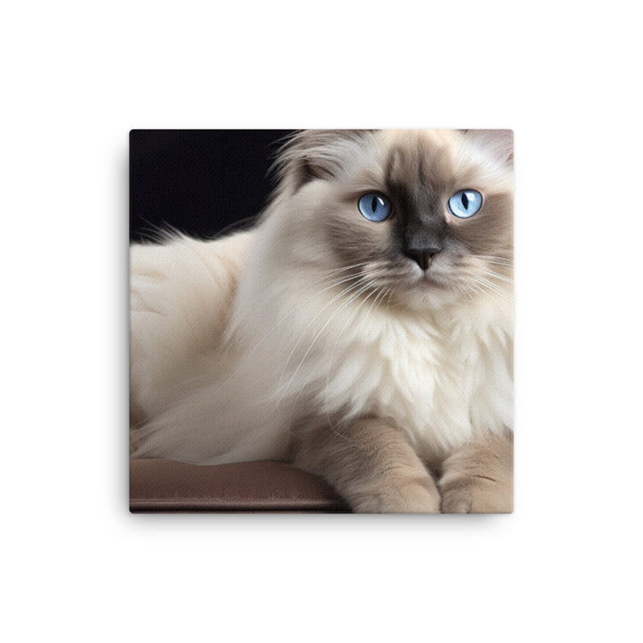 Birman Canvas - PosterfyAI.com