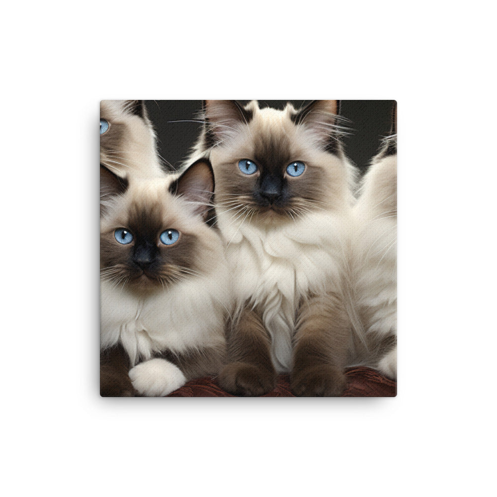 Birman Canvas - PosterfyAI.com