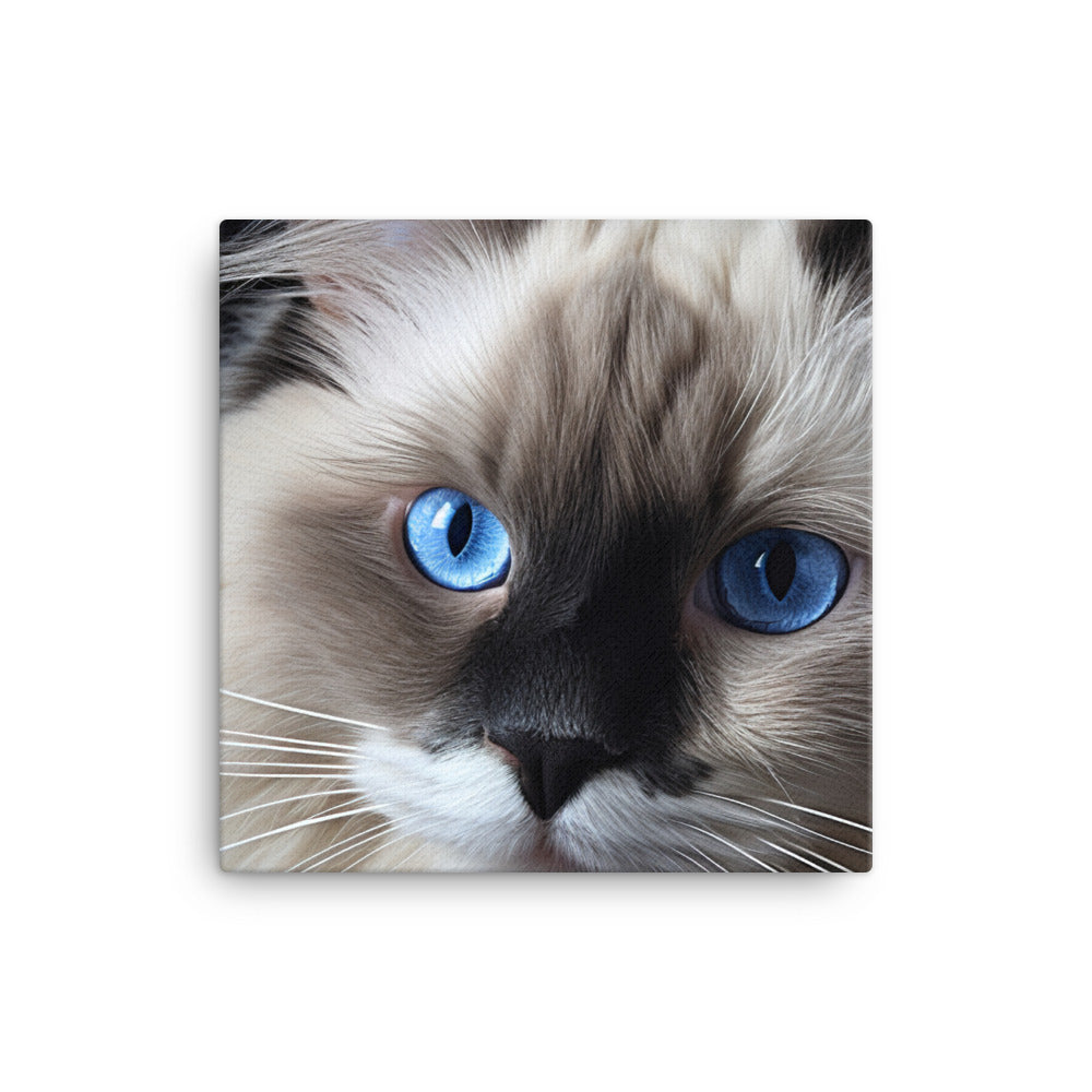 Birman Canvas - PosterfyAI.com