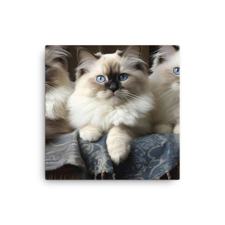 Birman Canvas - PosterfyAI.com