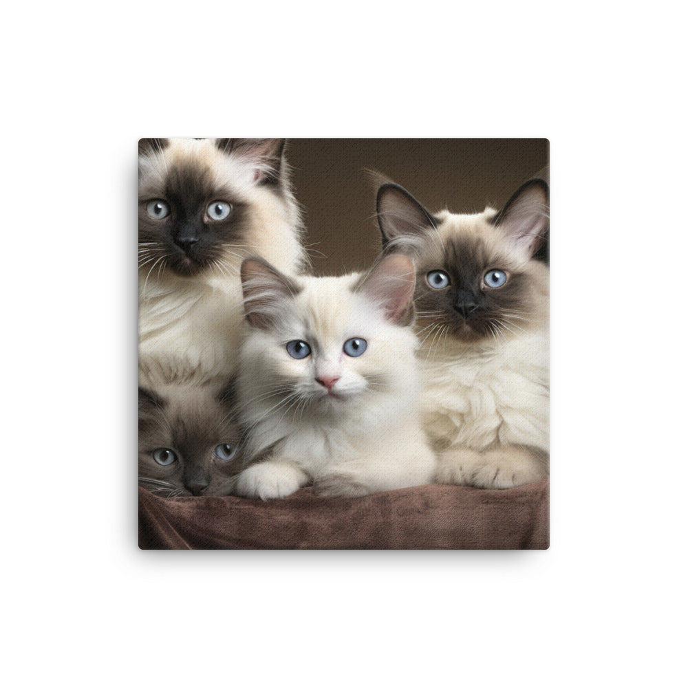 Birman Canvas - PosterfyAI.com