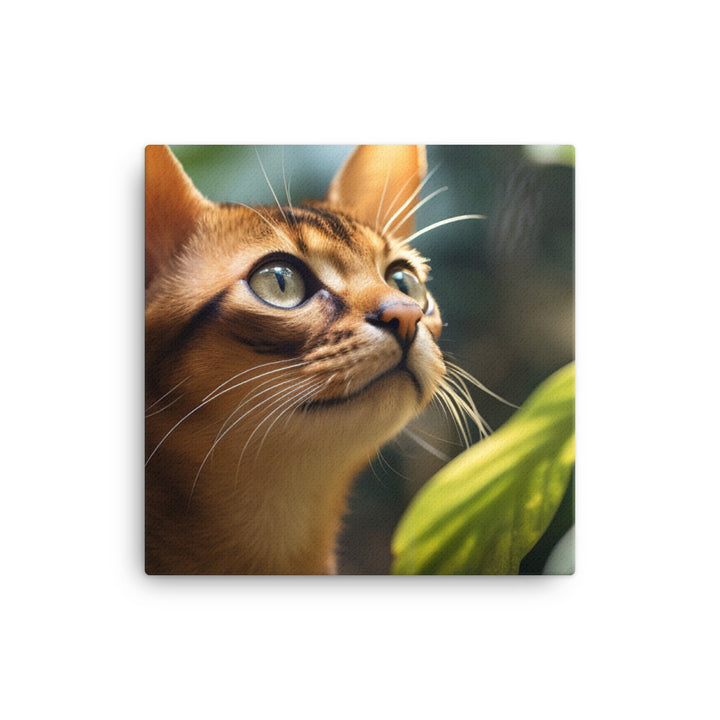 Abyssinian Canvas - PosterfyAI.com