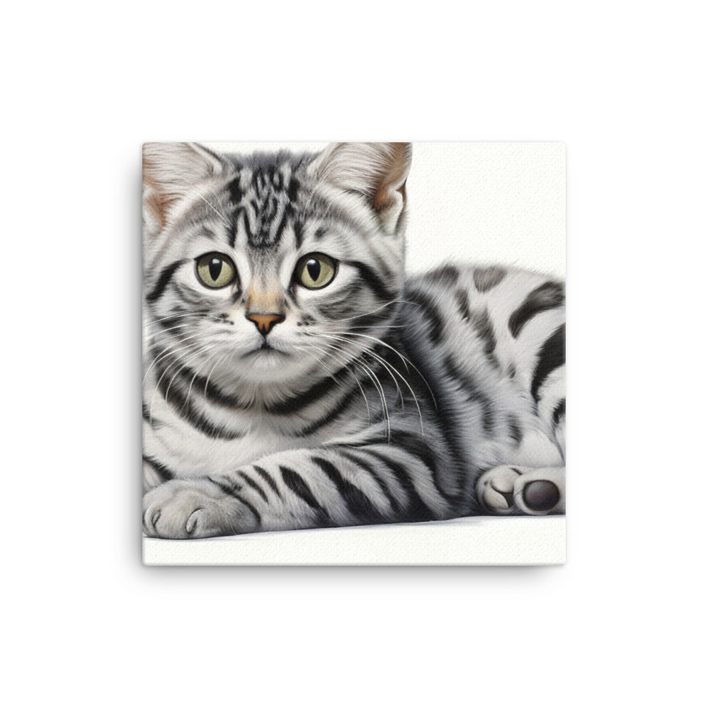 American Shorthair Canvas - PosterfyAI.com