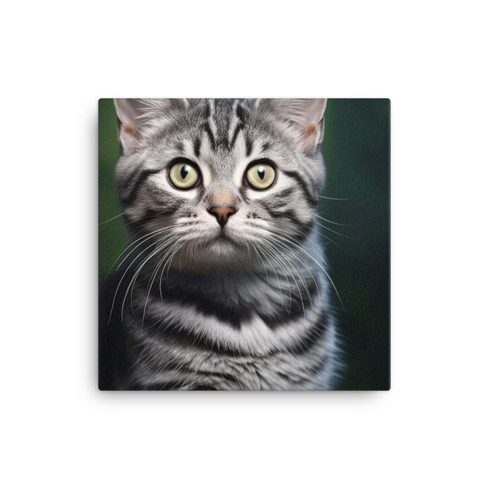 American Shorthair Canvas - PosterfyAI.com