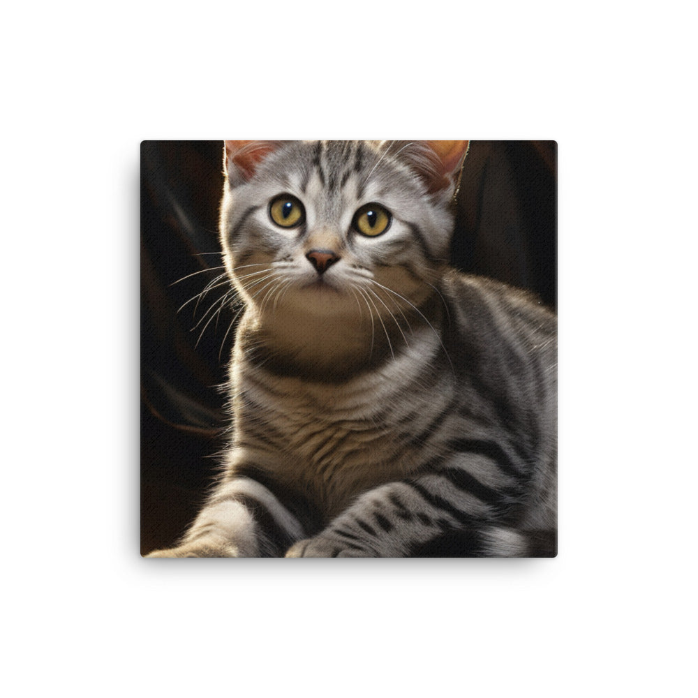 American Shorthair Canvas - PosterfyAI.com