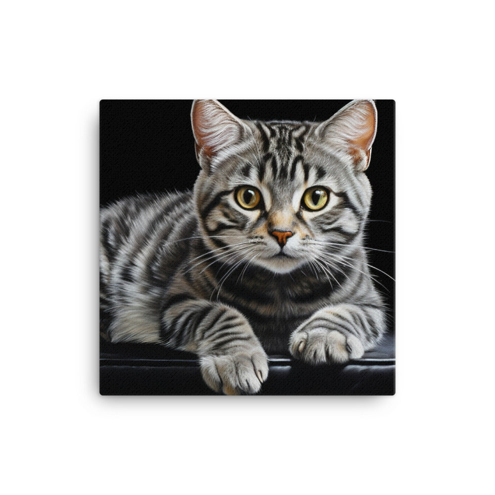 American Shorthair Canvas - PosterfyAI.com