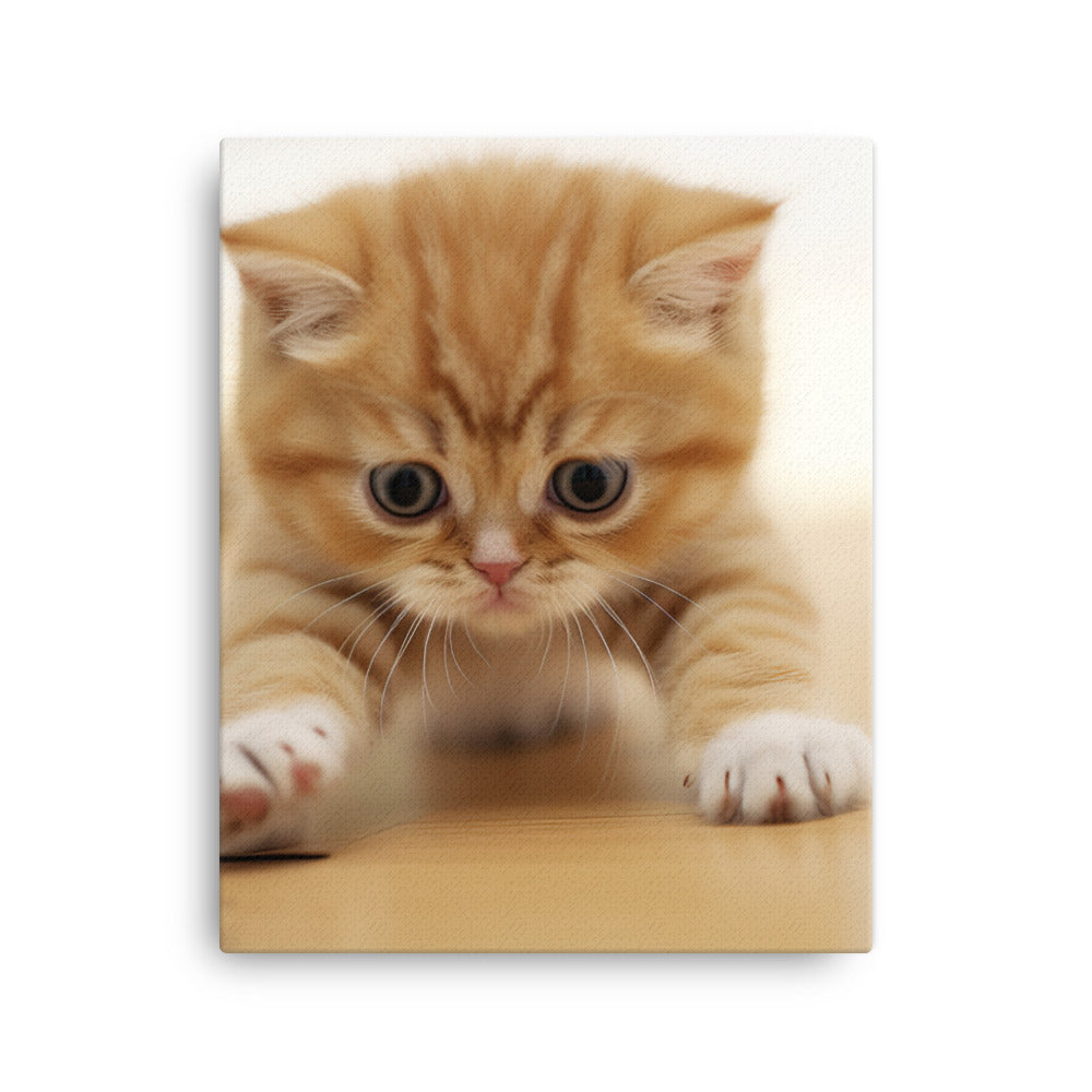 Exotic Shorthair Kitten Canvas - PosterfyAI.com