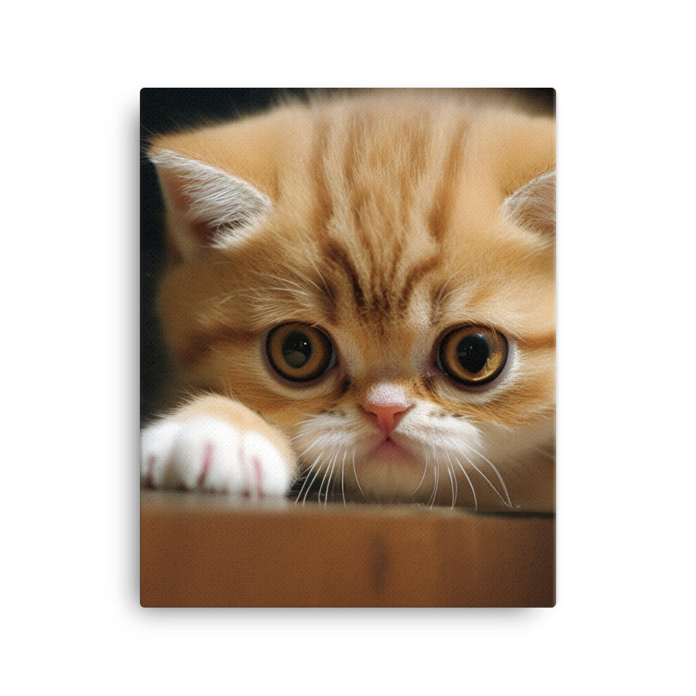 Exotic Shorthair Kitten Canvas - PosterfyAI.com