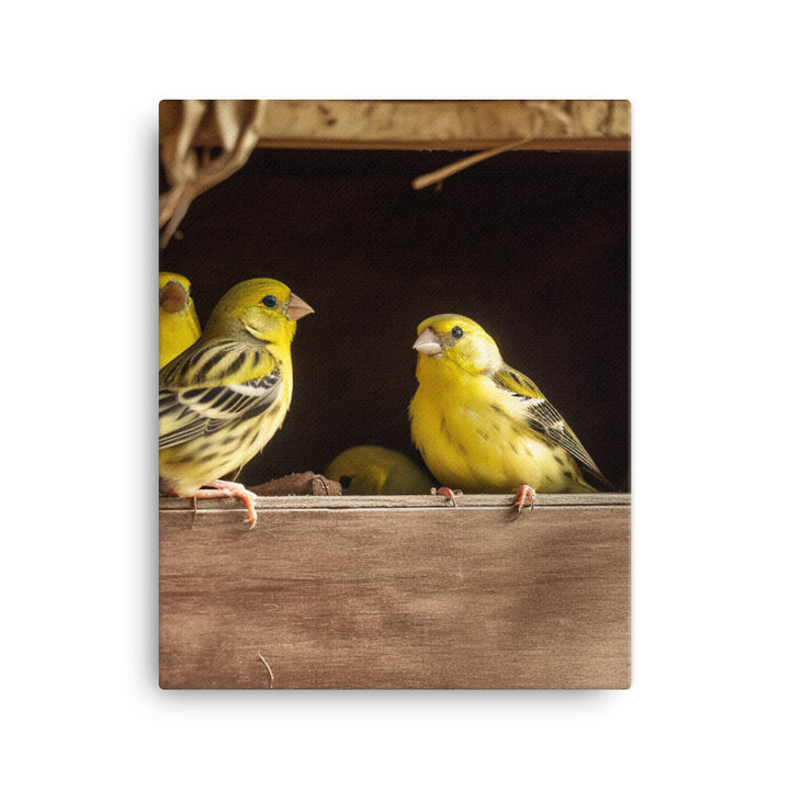 Singing canaries in a birdhouse Canvas - PosterfyAI.com