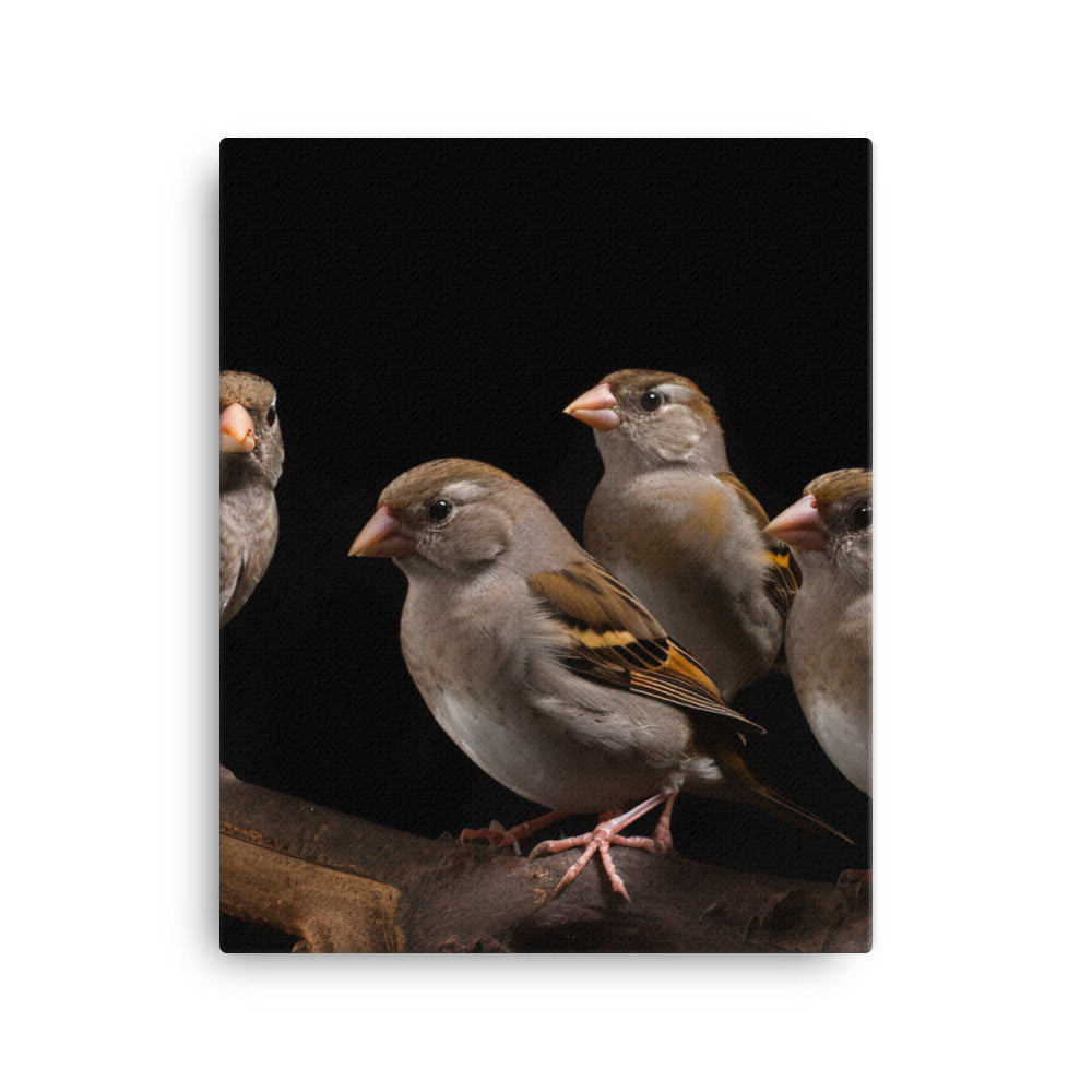 Flock of Society Finches Canvas - PosterfyAI.com