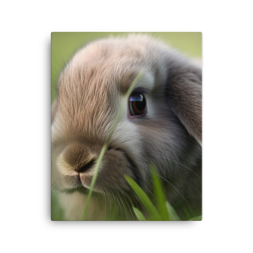 Holland Lop Canvas - PosterfyAI.com