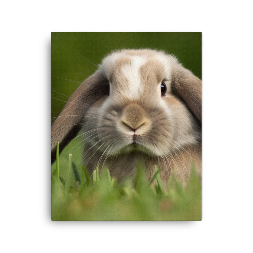 Holland Lop Canvas - PosterfyAI.com