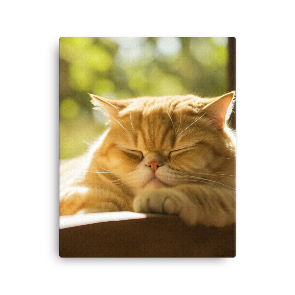 Exotic Shorthair Cat Napping Canvas - PosterfyAI.com