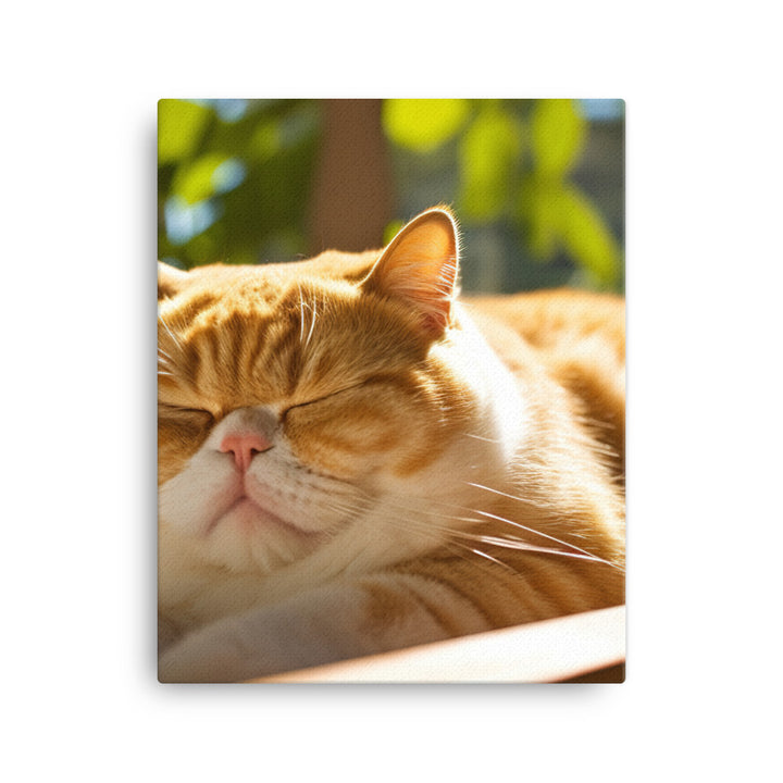 Exotic Shorthair Cat Napping Canvas - PosterfyAI.com