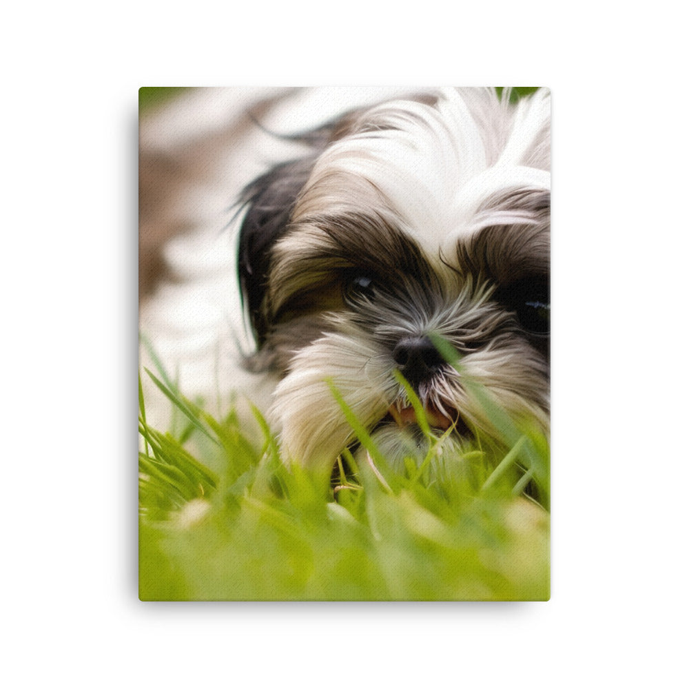 Playful Shih Tzu Enjoying the Outdoors Canvas - PosterfyAI.com