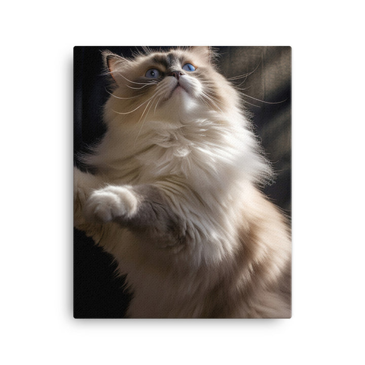 Ragdoll Cat in Motion Canvas - PosterfyAI.com