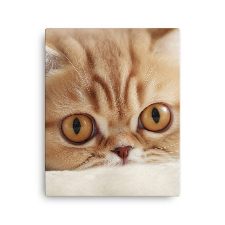 Exotic Shorthair Kitten Canvas - PosterfyAI.com