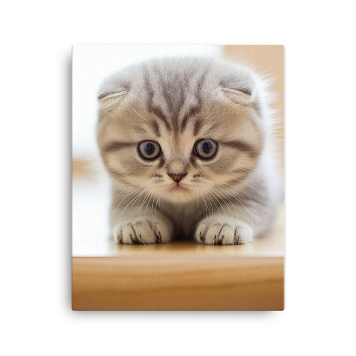 Scottish Fold Kitten Canvas - PosterfyAI.com