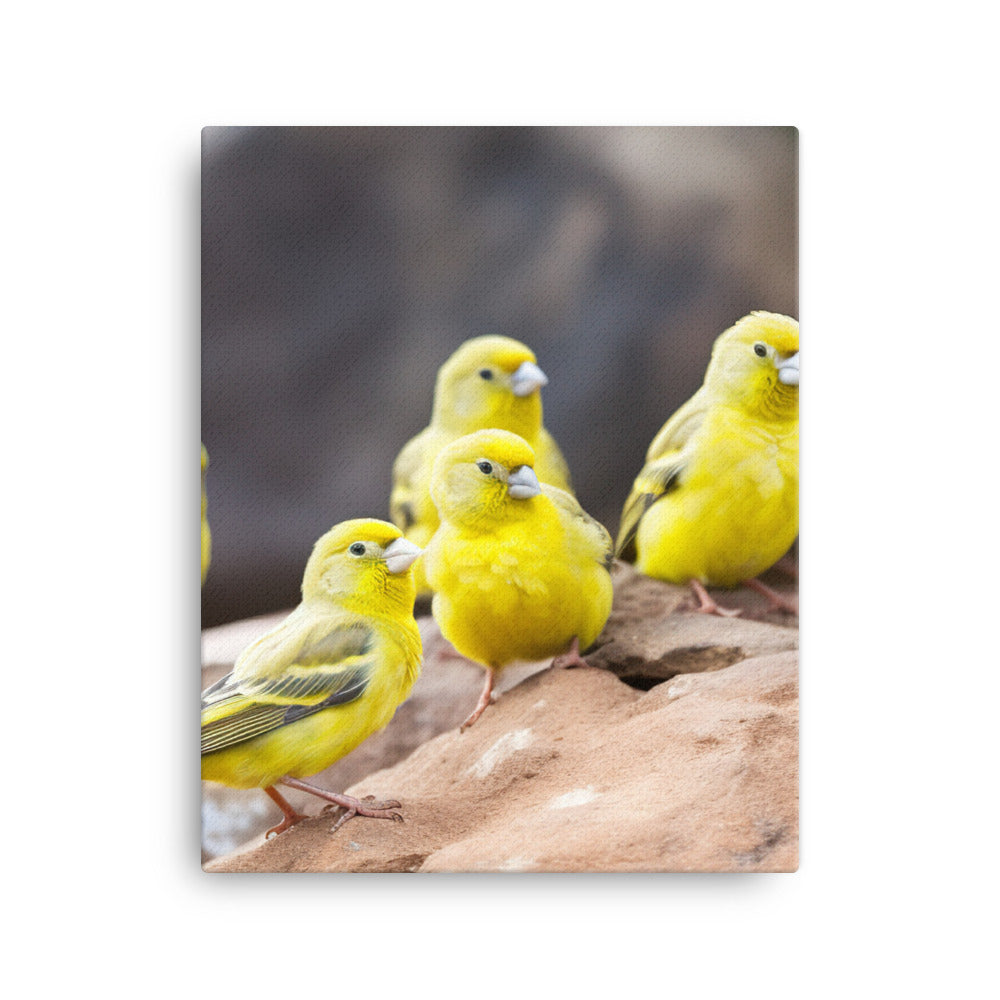 Canaries in a natural habitat Canvas - PosterfyAI.com