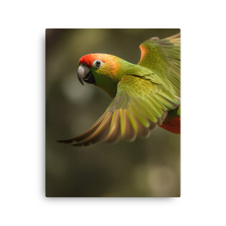 A Conure in mid flight Canvas - PosterfyAI.com