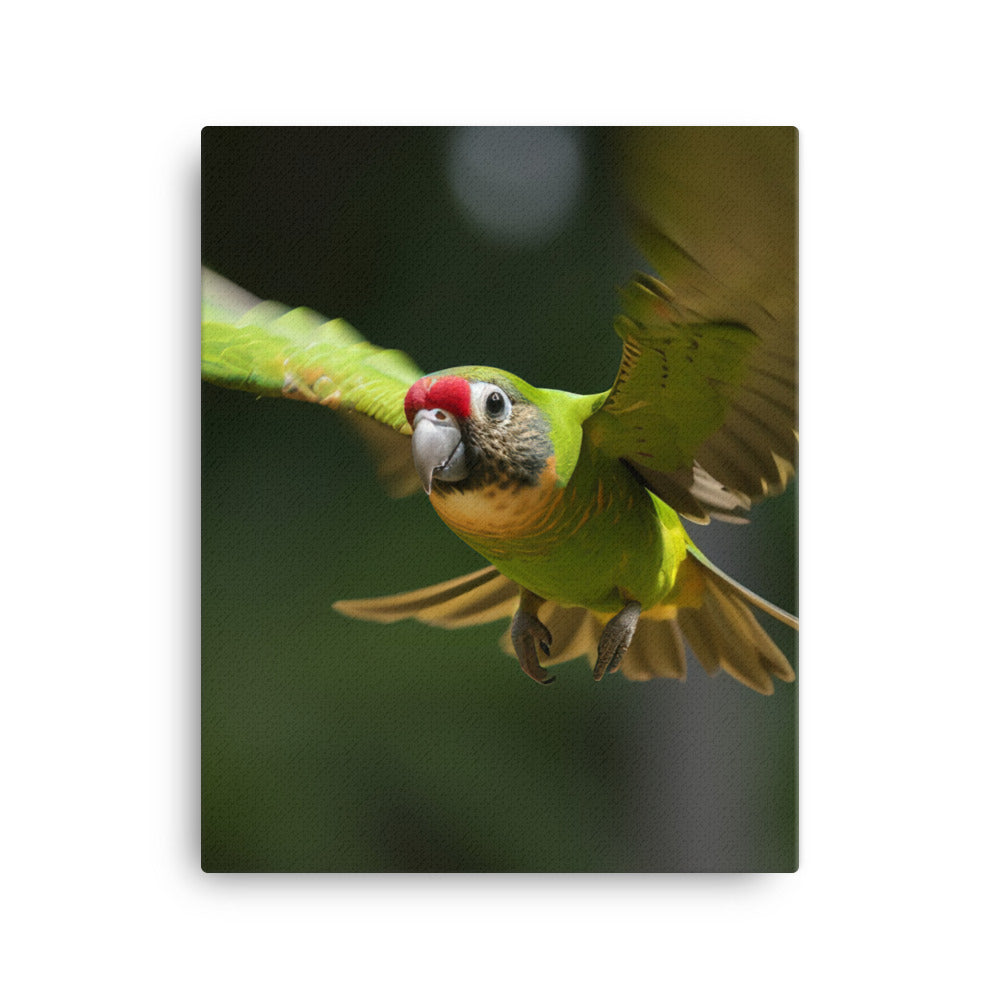 A Conure in mid flight Canvas - PosterfyAI.com