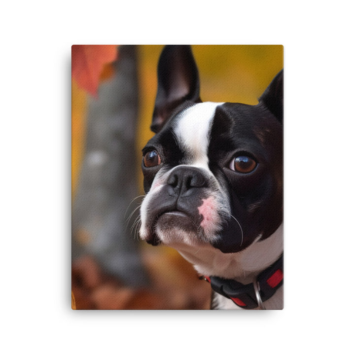 Boston Terrier with Fall Colors Canvas - PosterfyAI.com