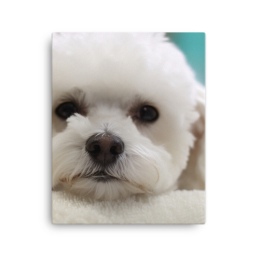 Bichon Frise in a Spa Canvas - PosterfyAI.com