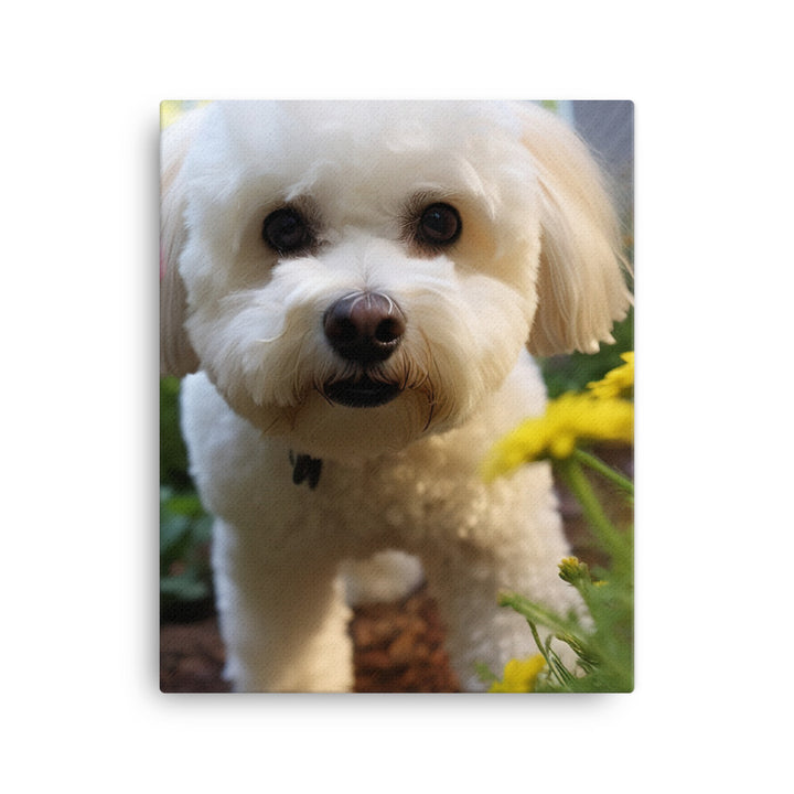 Bichon Frise in a Garden Canvas - PosterfyAI.com