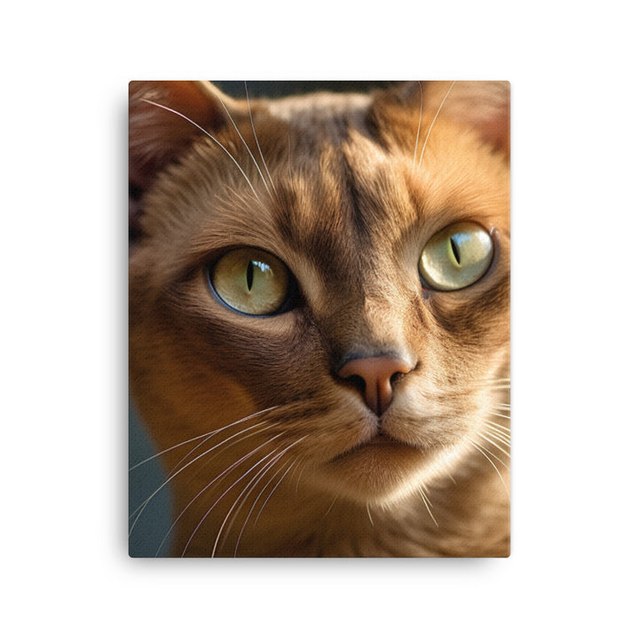 Elegance of Burmese Cat Canvas - PosterfyAI.com