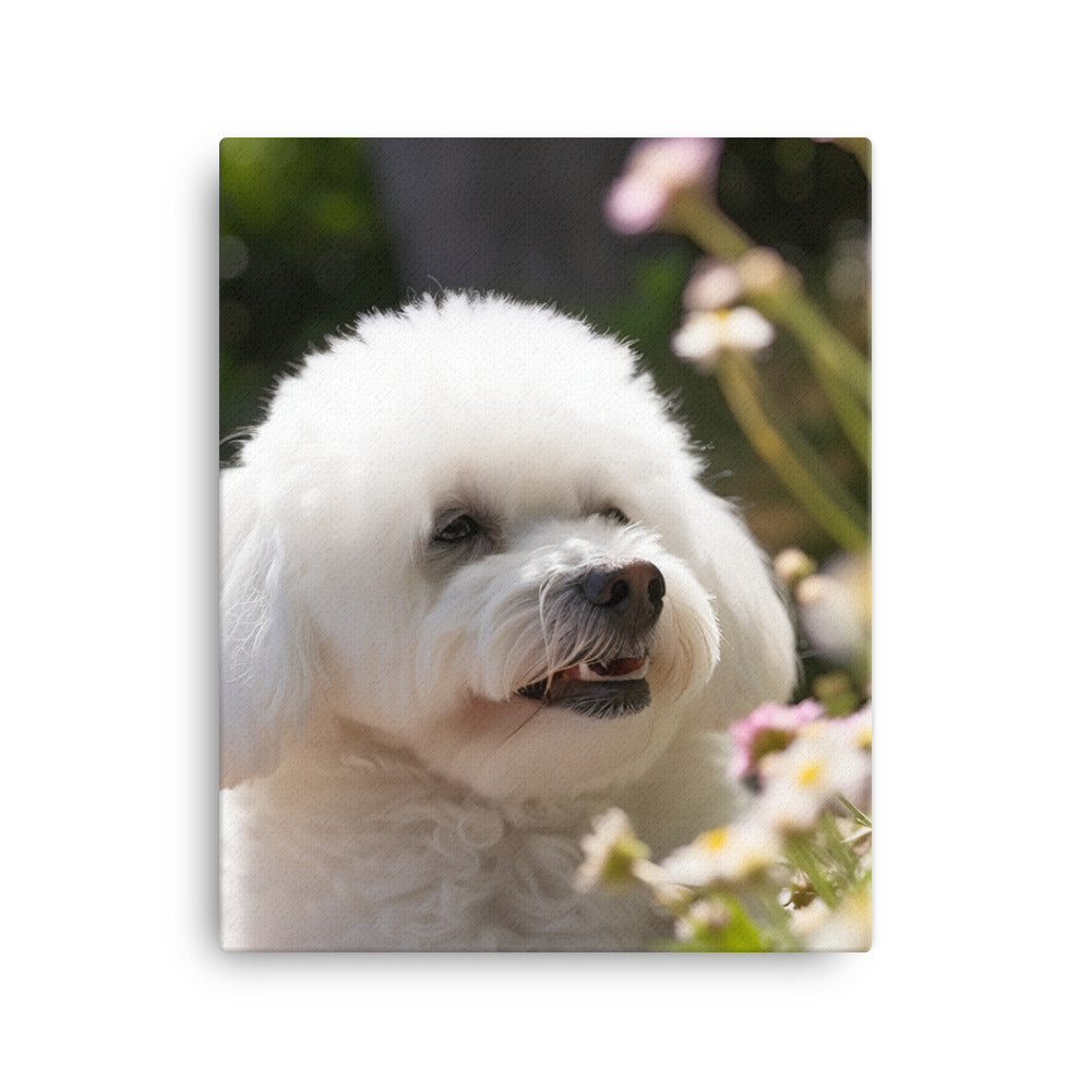 Bichon Frise Canvas - PosterfyAI.com