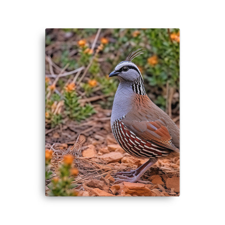 Quail Canvas - PosterfyAI.com