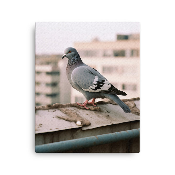Pigeon Canvas - PosterfyAI.com
