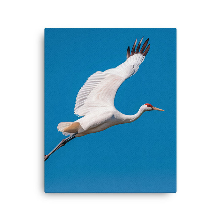 Crane Canvas - PosterfyAI.com