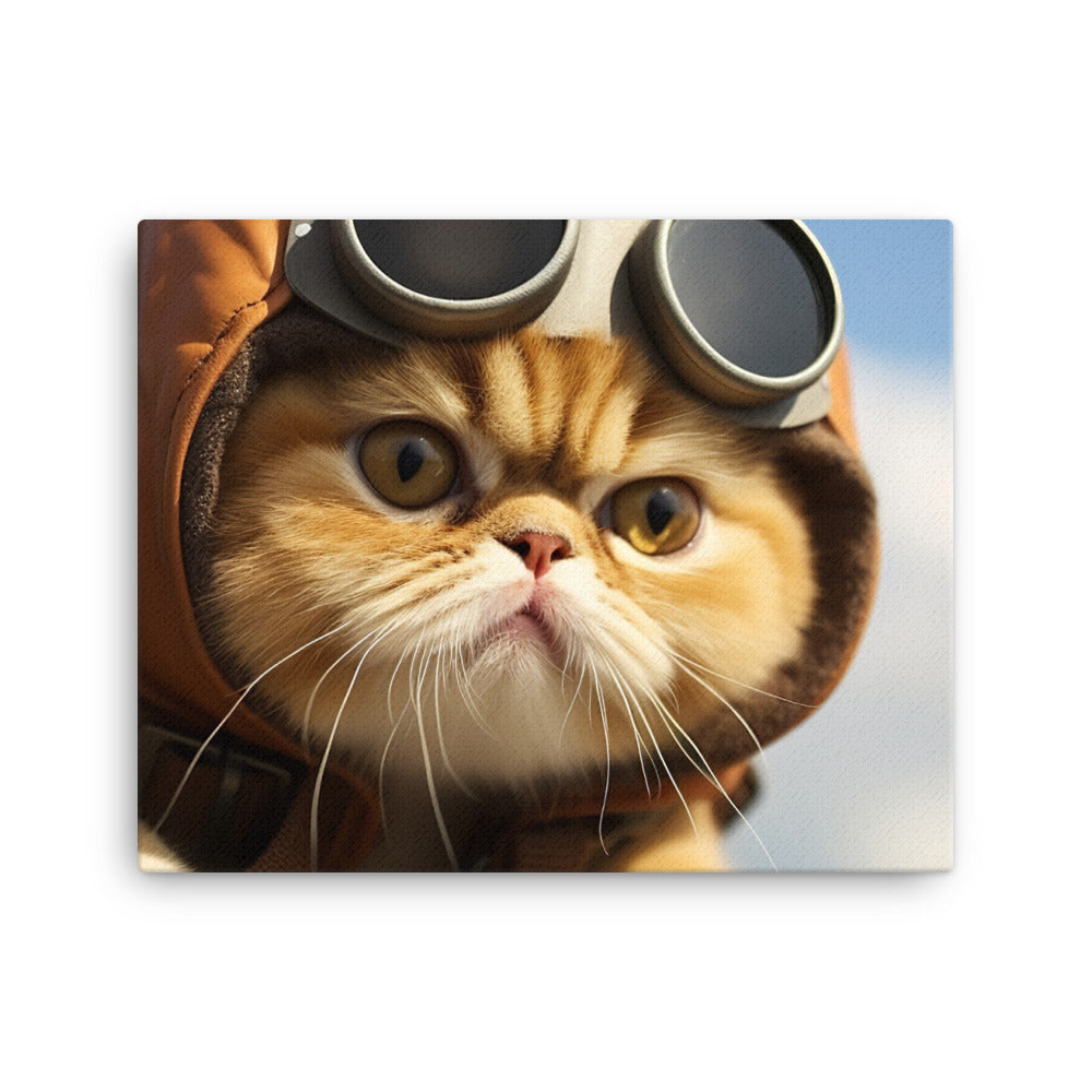 Exotic Shorthair Pilot Canvas - PosterfyAI.com