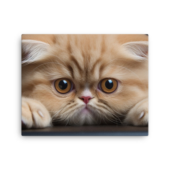 Exotic Shorthair Canvas - PosterfyAI.com