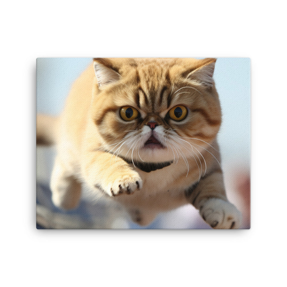 Exotic Shorthair Canvas - PosterfyAI.com