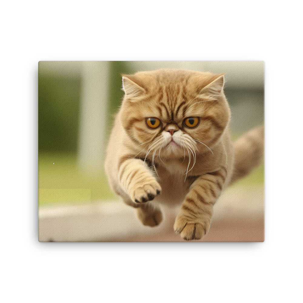 Exotic Shorthair Canvas - PosterfyAI.com